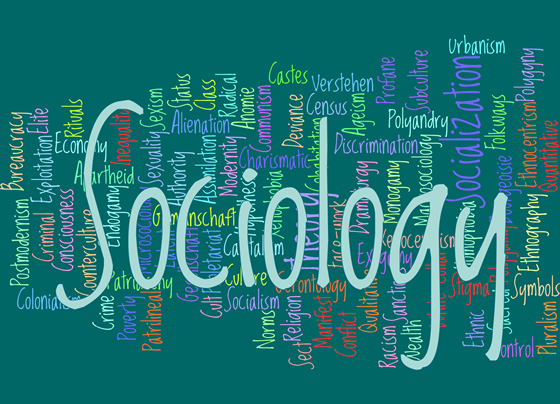 what is the importance of sociology