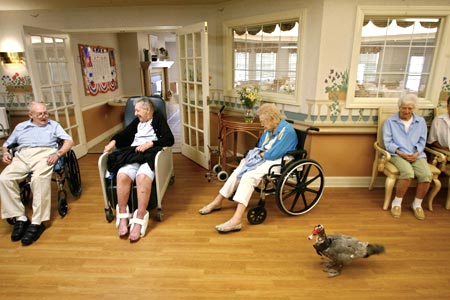 Assisted Living Cypress Ca