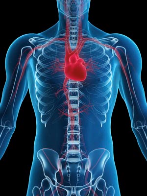 arterial-testing