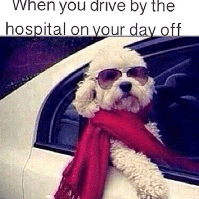 25 Nursing Memes to Help You Get Through the Day